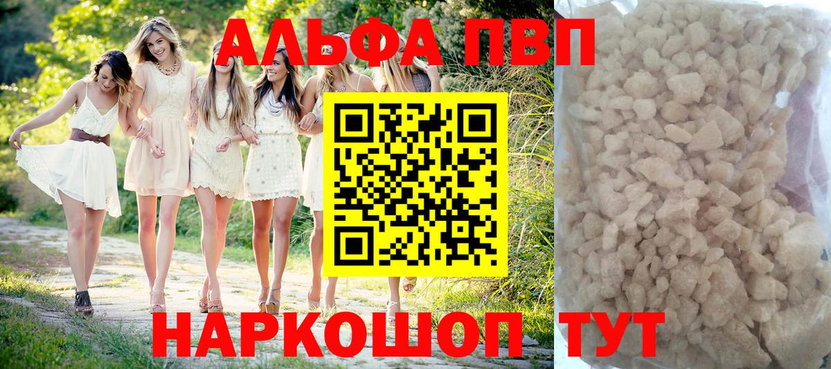 A PVP СК КРИС Нижний Новгород