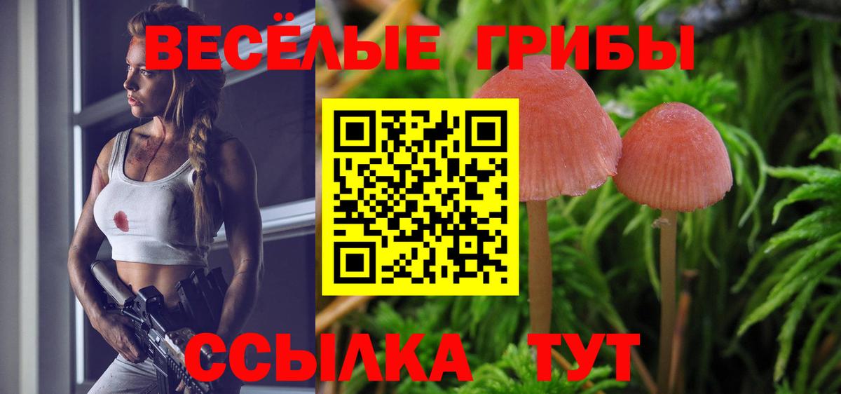 Галлюциногенные грибы MAGIC MUSHROOMS Нижний Новгород