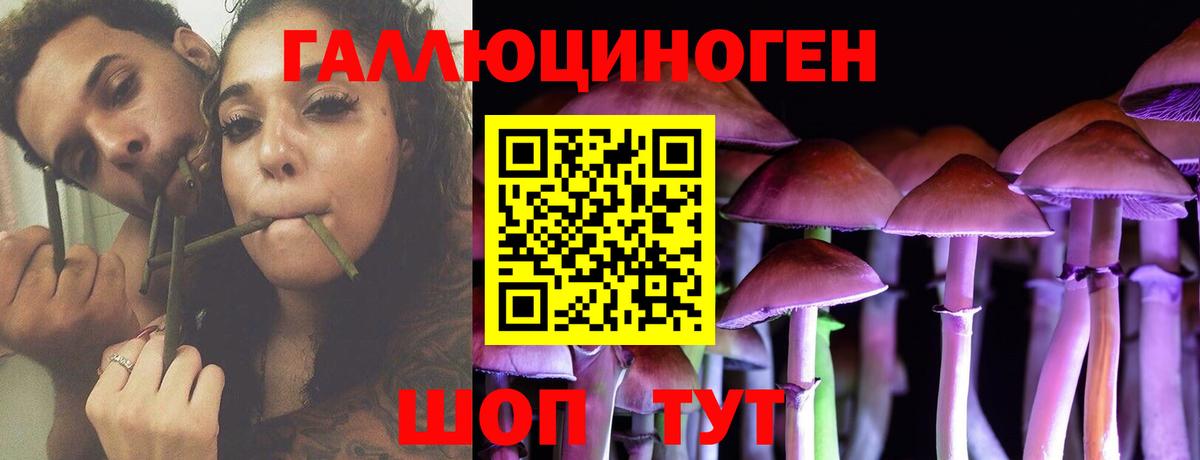 Нижний Новгород  Галлюциногенные грибы ЛСД  Псилоцибиновые грибы GOLDEN TEACHER  цены наркотик  Вход с VPN 